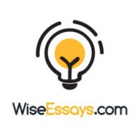 WiseEssays.com Review